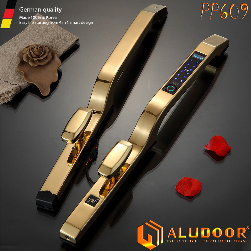 ALUDOOR PP609 2