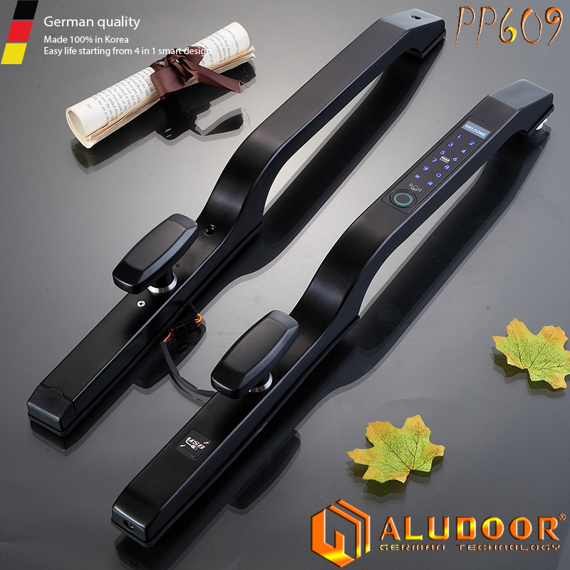 ALUDOOR PP609 den